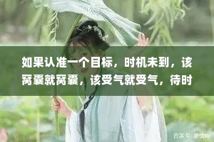 如果认准一个目标，时机未到，该窝囊就窝囊，该受气就受气，待时机成熟，出手要狠，善后要稳。