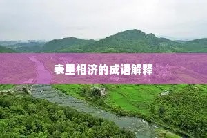 表里相济的成语解释
