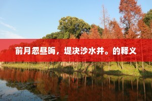 前月忽昼晦，堤决沙水并。的释义