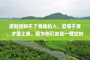 遇到控制不了情绪的人，忍辱不变，才是上策，因为他们就是一颗定时炸弹。不要因跟恶人比恶，而损失自己的幸福生活。