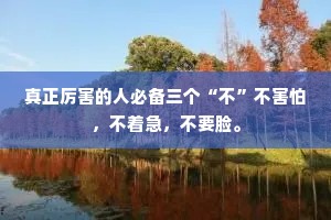 真正厉害的人必备三个“不”不害怕，不着急，不要脸。