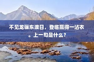 不见龙骧东渡日，登临赢得一沾衣。上一句是什么？