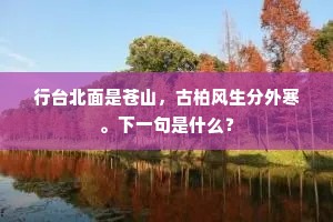 行台北面是苍山，古柏风生分外寒。下一句是什么？