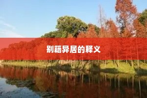 别籍异居的释义