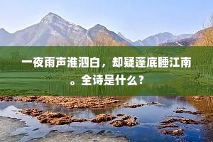 一夜雨声淮泗白，却疑蓬底睡江南。全诗是什么？