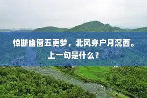 惊断幽窗五更梦，北风穿户月沉西。上一句是什么？