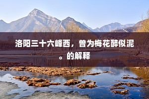 洛阳三十六峰西，曾为梅花醉似泥。的解释