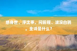 感身世、浮沈事，问前程、波没白鸥。全诗是什么？