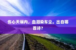 伤心天壤内，血泪染车尘。出自哪首诗？