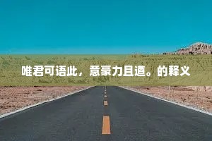 唯君可语此，意豪力且遒。的释义