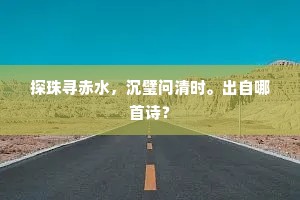 探珠寻赤水，沉璧问清时。出自哪首诗？