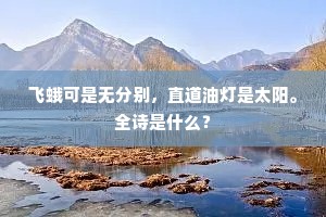 飞蛾可是无分别，直道油灯是太阳。全诗是什么？