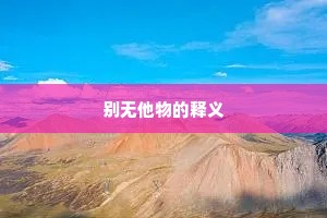 别无他物的释义
