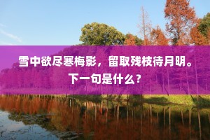 雪中欲尽寒梅影，留取残枝待月明。下一句是什么？