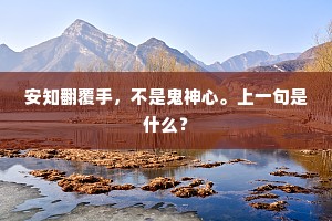 安知翻覆手，不是鬼神心。上一句是什么？