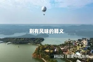 别有风味的释义