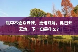 瓶中不逐众芳残，更谁能解，此日开无地。下一句是什么？