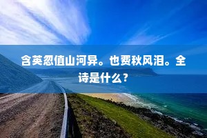 含英忽值山河异。也费秋风泪。全诗是什么？