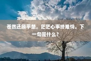 苍然还顾平楚，茫茫心事终难恃。下一句是什么？