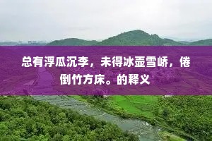 总有浮瓜沉李，未得冰壶雪峤，倦倒竹方床。的释义