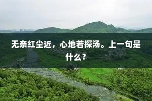 无奈红尘近，心地若探汤。上一句是什么？