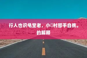 行人也识龟堂老，小榼村醪手自携。的解释
