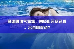 忽逢阴浊气氤氲，四顾山河尽已昏。出自哪首诗？