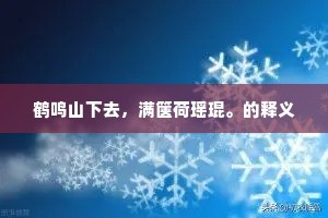 鹤鸣山下去，满箧荷瑶琨。的释义