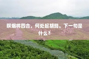 暝烟将四合，何处起胡笳。下一句是什么？