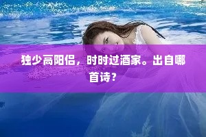 独少高阳侣，时时过酒家。出自哪首诗？