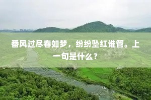 番风过尽春如梦，纷纷坠红谁管。上一句是什么？