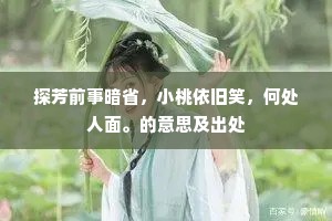 探芳前事暗省，小桃依旧笑，何处人面。的意思及出处
