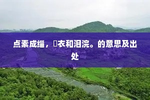点素成缁，纻衣和泪浣。的意思及出处