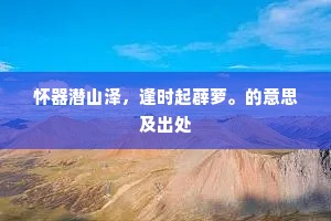 怀器潜山泽，逢时起薜萝。的意思及出处