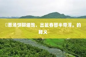 芼葱汤饼聊堪饱，出瓮春醪半带浑。的释义