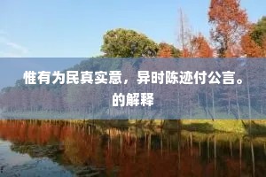 惟有为民真实意，异时陈迹付公言。的解释