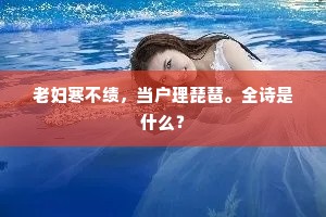 老妇寒不绩，当户理琵琶。全诗是什么？