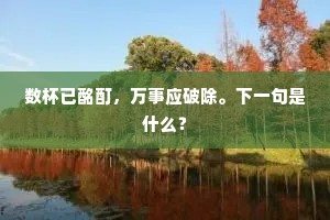 数杯已酩酊，万事应破除。下一句是什么？