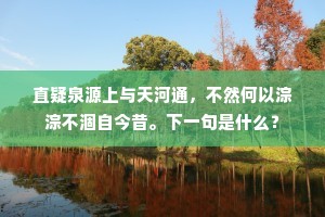 直疑泉源上与天河通，不然何以淙淙不涸自今昔。下一句是什么？