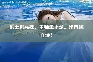 乐土聊高枕，王师未止戈。出自哪首诗？