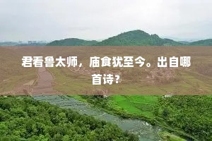 君看鲁太师，庙食犹至今。出自哪首诗？
