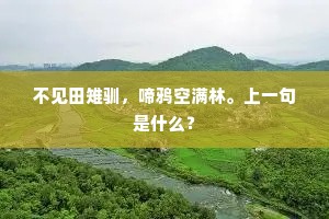 不见田雉驯，啼鸦空满林。上一句是什么？