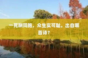 一死酬同胞，众生实可耻。出自哪首诗？