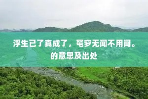 浮生已了真成了，窀穸无闻不用闻。的意思及出处