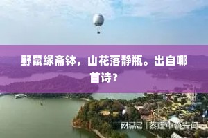 野鼠缘斋钵，山花落静瓶。出自哪首诗？