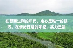 在智商过剩的年代，走心是唯一的技巧。在情绪泛滥的年纪，实力是最大的底牌。