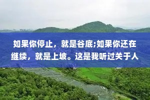 如果你停止，就是谷底;如果你还在继续，就是上坡。这是我听过关于人生低谷最好的阐述。