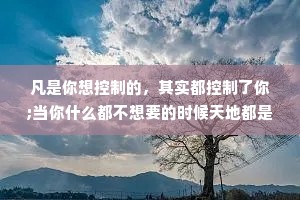 凡是你想控制的，其实都控制了你;当你什么都不想要的时候天地都是你的。有容乃大，无欲则刚，无所为，则无所不为。