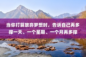 当你打算放弃梦想时，告诉自己再多撑一天、一个星期、一个月再多撑一年吧。你会发现，拒绝退场的结果令人惊讶。