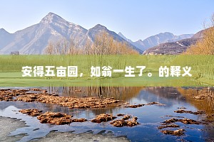 安得五亩园，如翁一生了。的释义